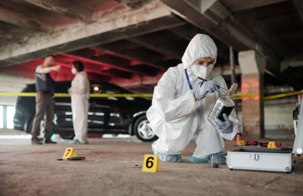 Pest Control Remediation and Odor Remediation