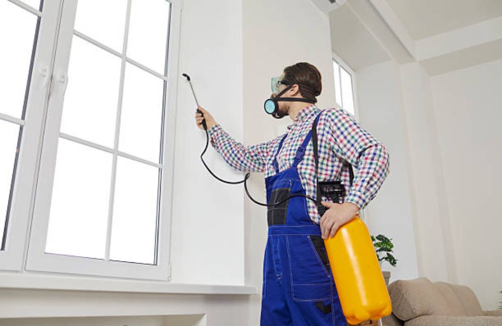 Pest Control Remediation and Odor Remediation