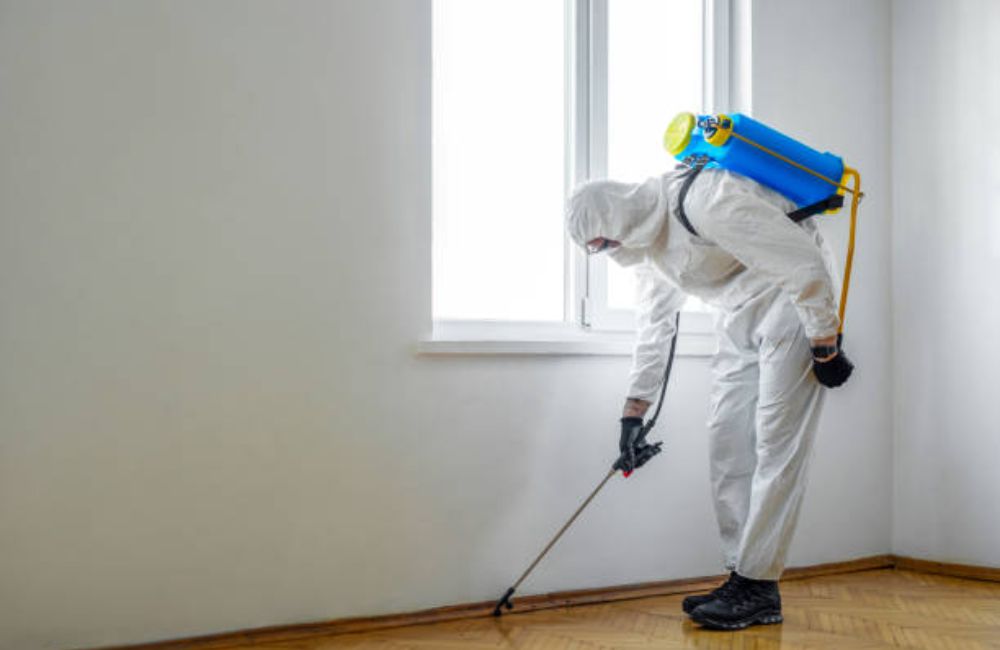 Blood and Biohazard Cleanup Services
