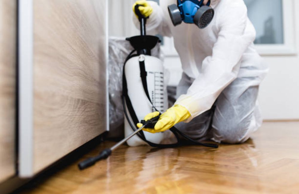 Hoarding Cleanup and Remediation Services