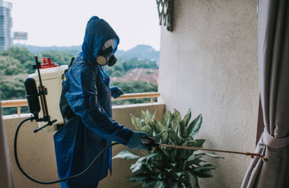 Pest Control Remediation and Odor Remediation