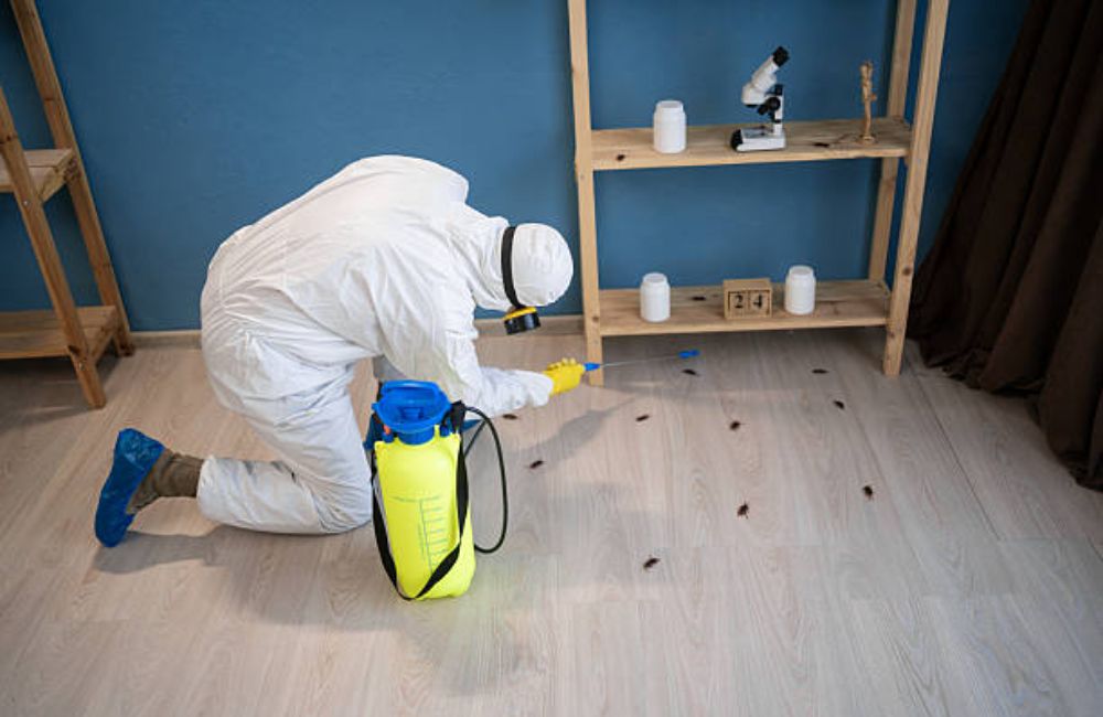 Emergency Vehicle Decontamination Services